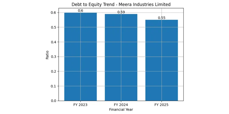 Balance sheet analysis of MEERA industries Ltd.